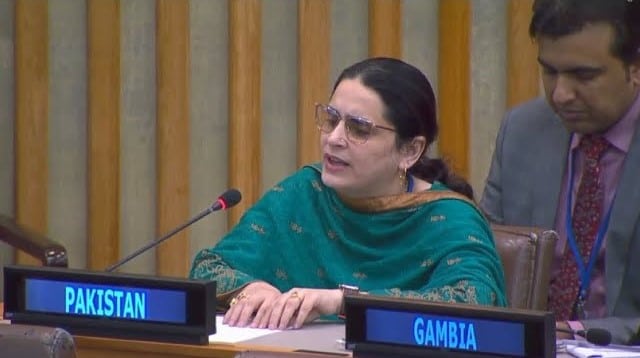 India sponsoring TTP and BLA to destabilize Pakistan: Saima Saleem