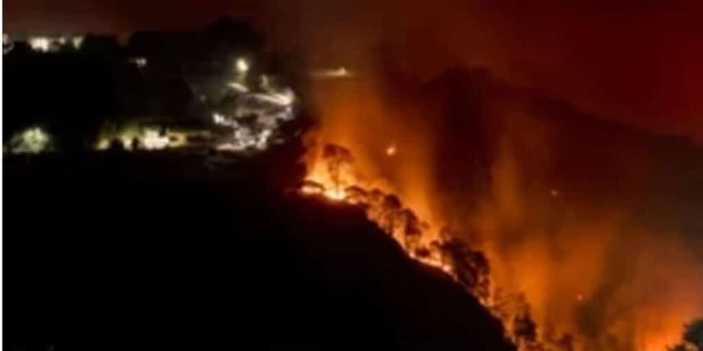 Forest fire in Qila Saifullah spreads over two kilometers