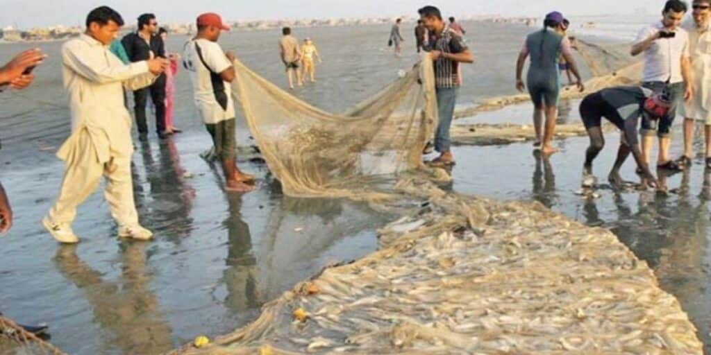 Fishing ban imposed in Balochistan waters for two months