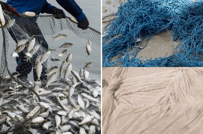 Balochistan Reaffirms Ban on Wire Nets to Safeguard Marine Ecosystem
