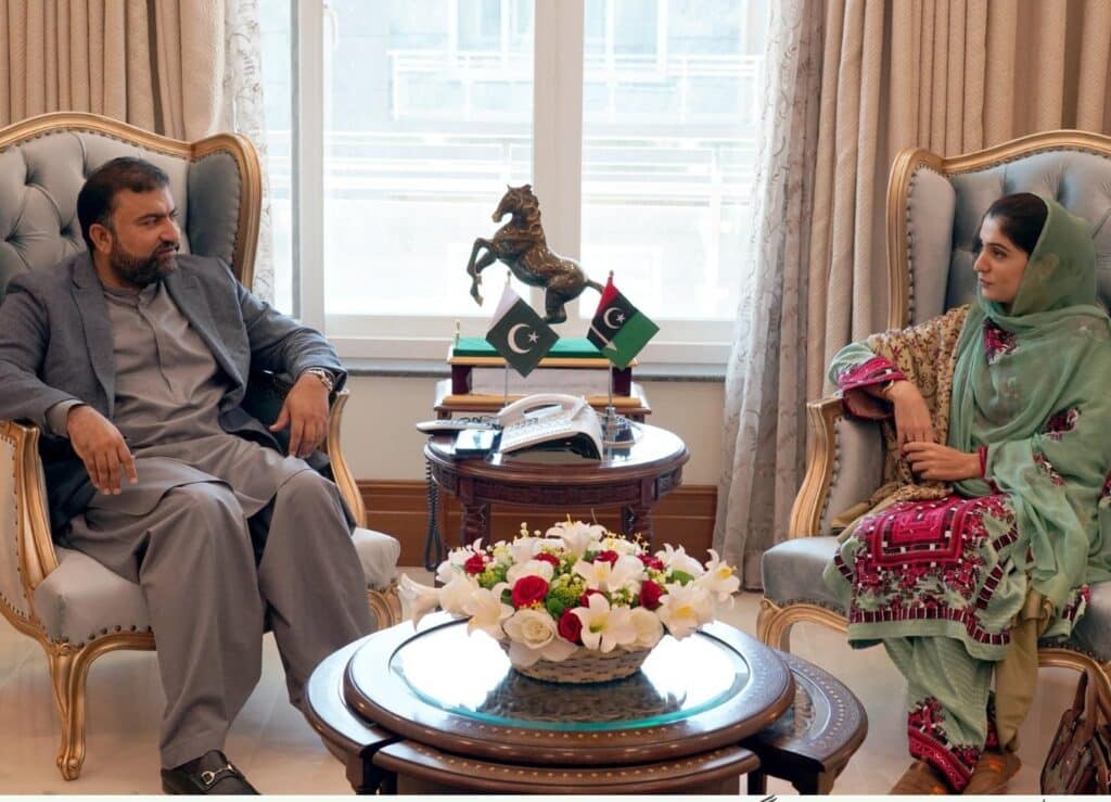 ‘She Power’ project turning dreams of Balochistan’s daughters into reality: Meena Baloch