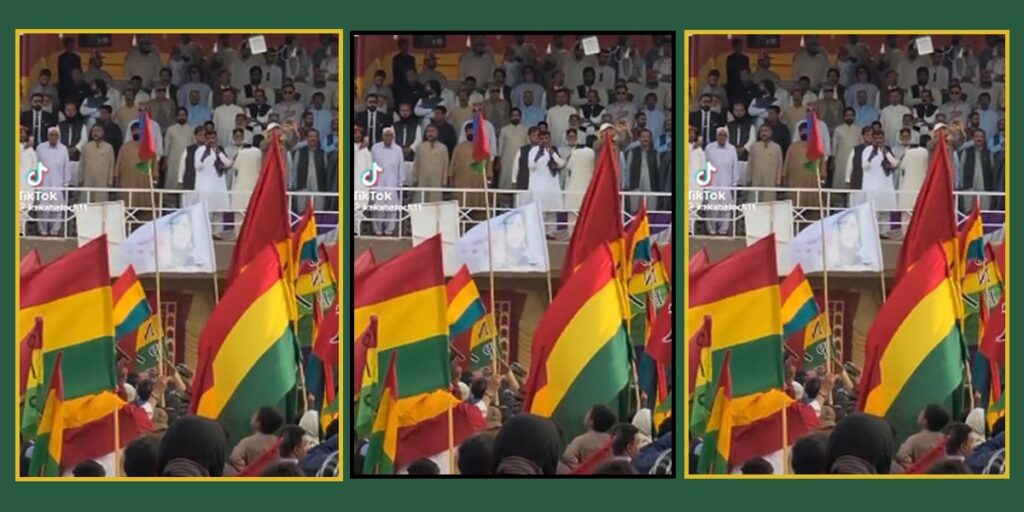BNP-M rally draws strong criticism over waving BLA flag