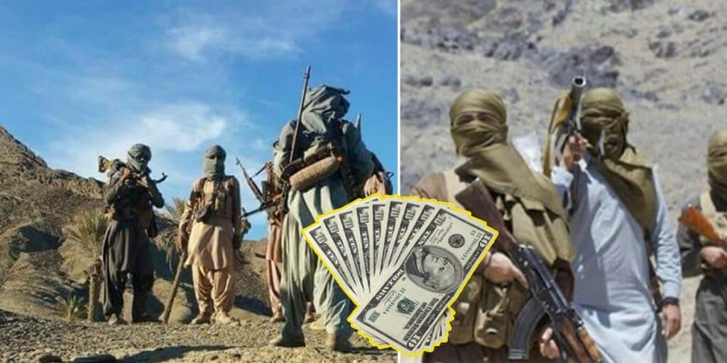 ‘BLA, BLF’s only real fight is for funding’ Twitter users erupt