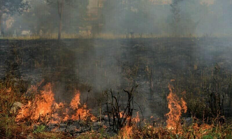 Protesters block Zhob-DI Khan highway over forest fire in Sherani