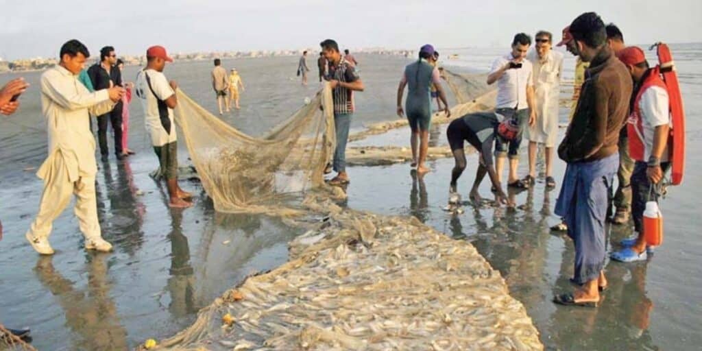 Fishing sector crumbles in Gwadar amid Iranian fuel suspension
