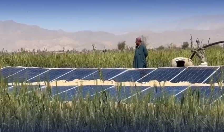 Solarization in Balochistan will boost agricultural output: PM