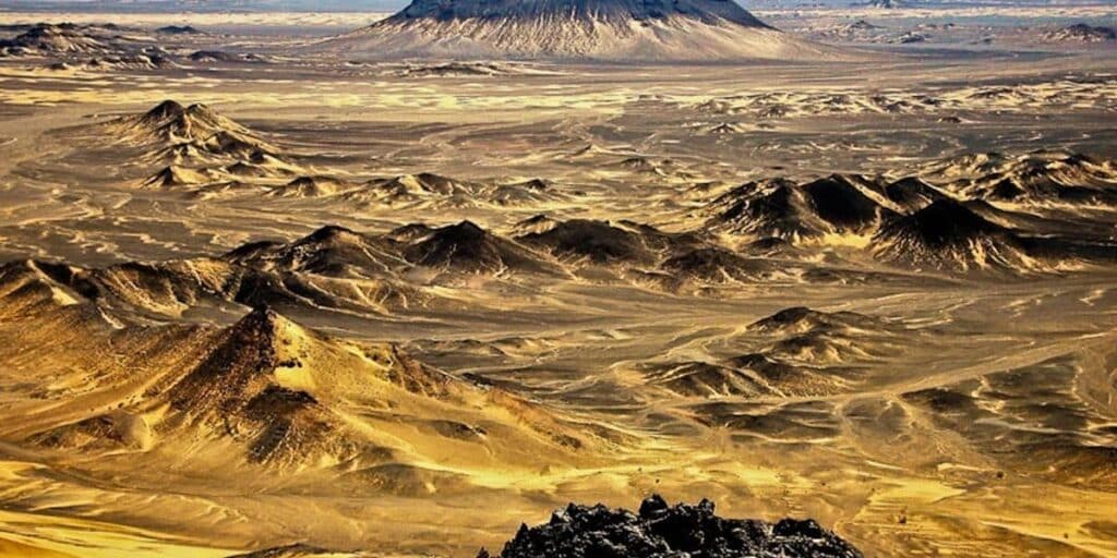 Reko Diq offers $1 billion export potential for US firms: US diplomat