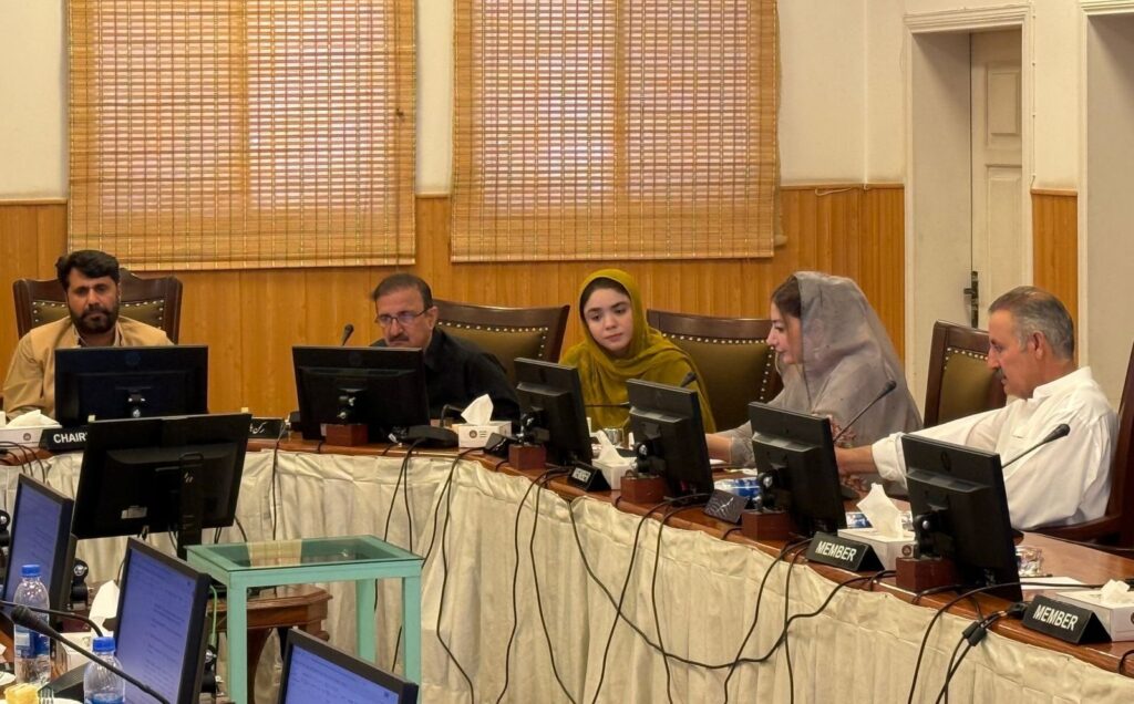 Balochistan Assembly Standing Committee on Energy reviews bill on agricultural solarization