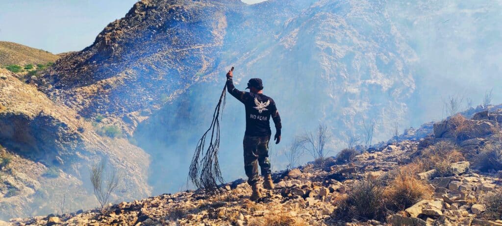 Fire in Kohlu's mountains brought under control