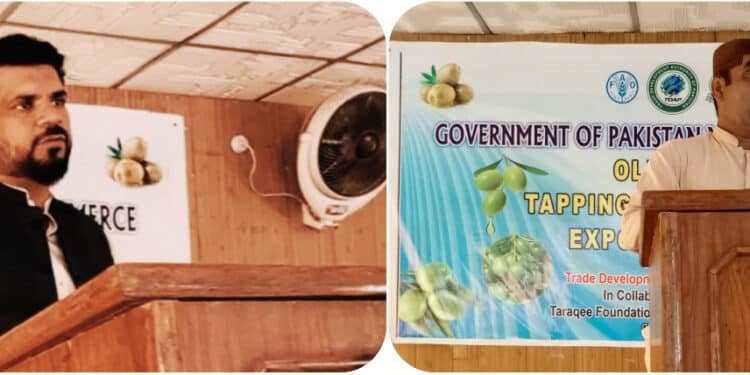 Loralai hosts key olive export awareness session