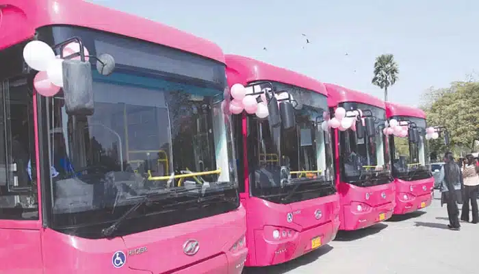 Pink buses for women to hit Quetta roads soon