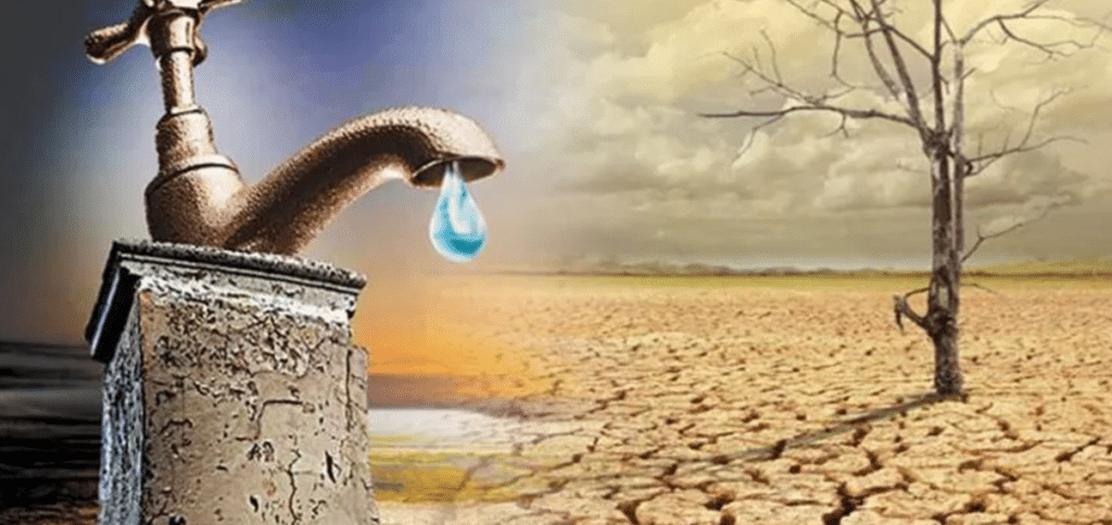 Solar irrigation seen as key to saving Balochistan’s water