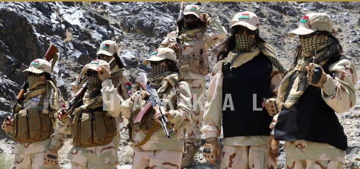 Majeed Brigade should be declared terrorist organization: Pakistan