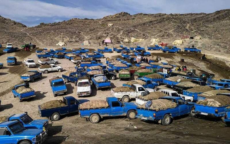 Coordinated efforts reduce Iranian oil smuggling in Balochistan