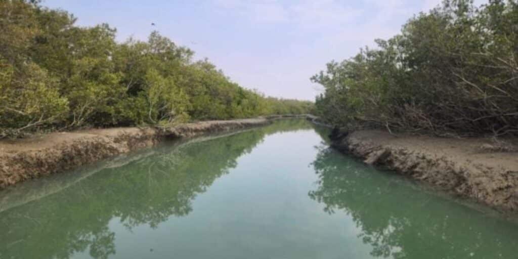 Balochistan cabinet declares Miani Hor as Pakistan’s third Marine Protected Area