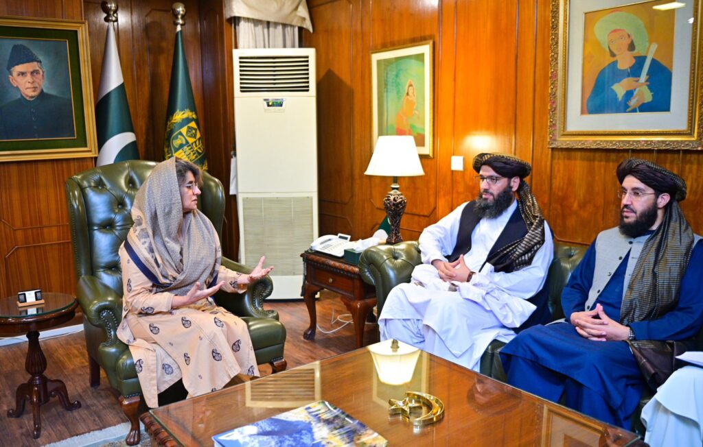 Pakistan-Afghanistan hold first round of political consultations in Islamabad