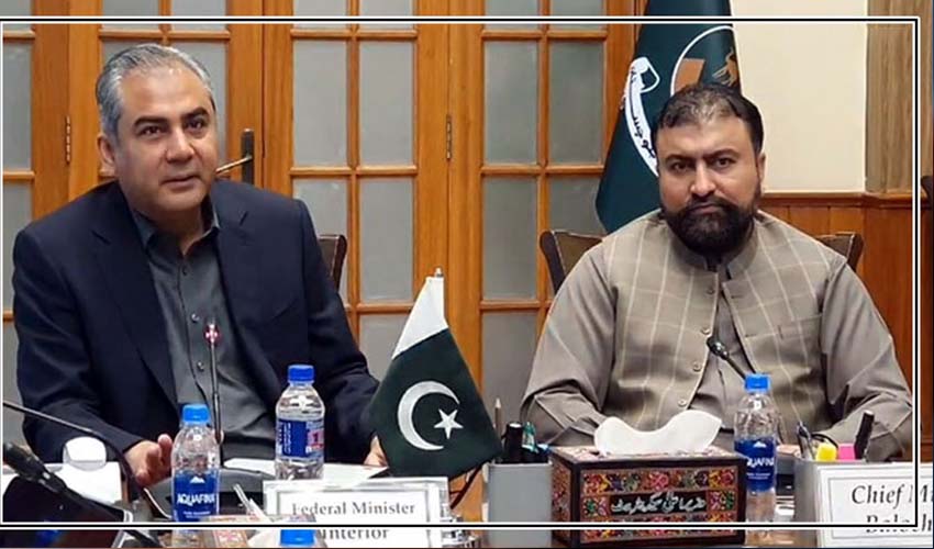 Mohsin Naqvi warns of ‘dreadful fate’ for Indian-backed terrorists