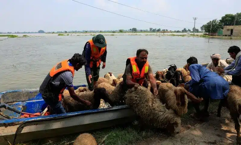NDMA issues high-flood alert for Ravi as India releases water