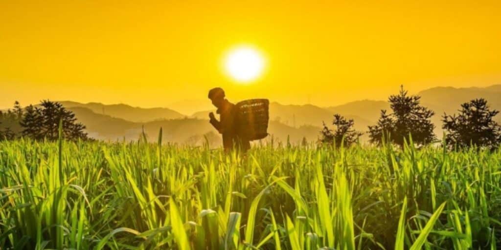 Balochistan government to launch Kisan Card