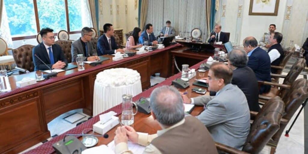 Chinese firm eyes on establishing maritime complex in Pakistan