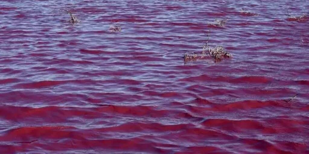 Seawater turns pink at Gadani Jetty, alarming fishermen and locals