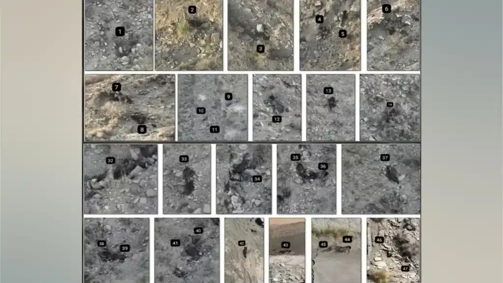 Bodies of 47 Khawarij killed at Pak-Afghan border taken to Afghanistan on donkeys