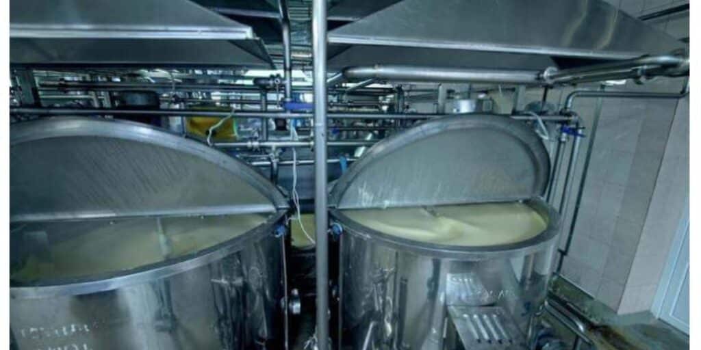 BFA unearths illegal butter factory in Quetta
