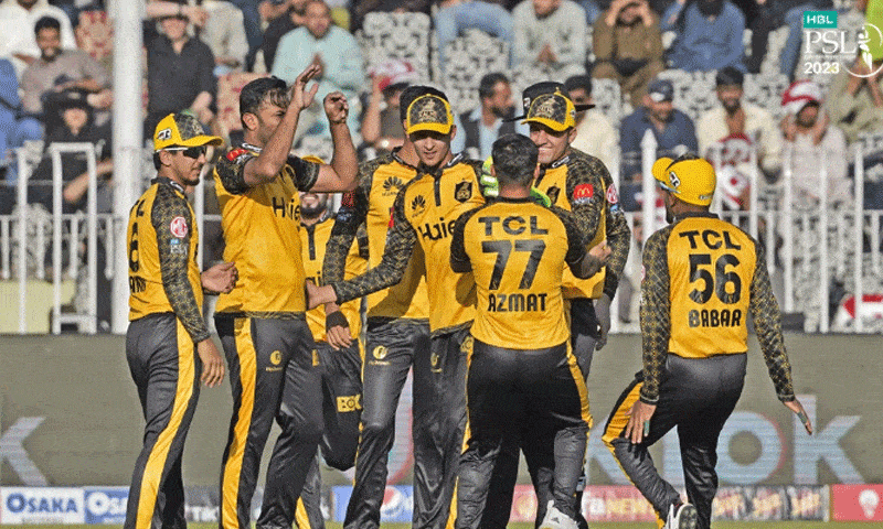 Peshawar to host star-studded cricket match to aid flood victims