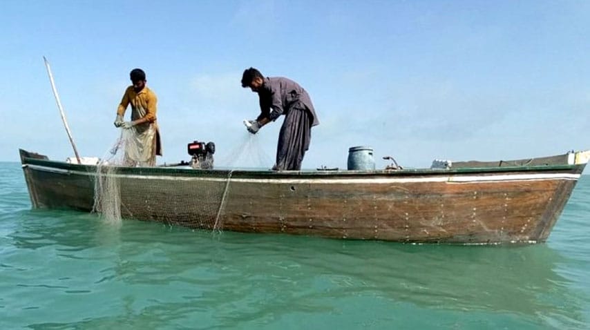 Balochistan govt signs Rs5b deal to modernise fisheries sector
