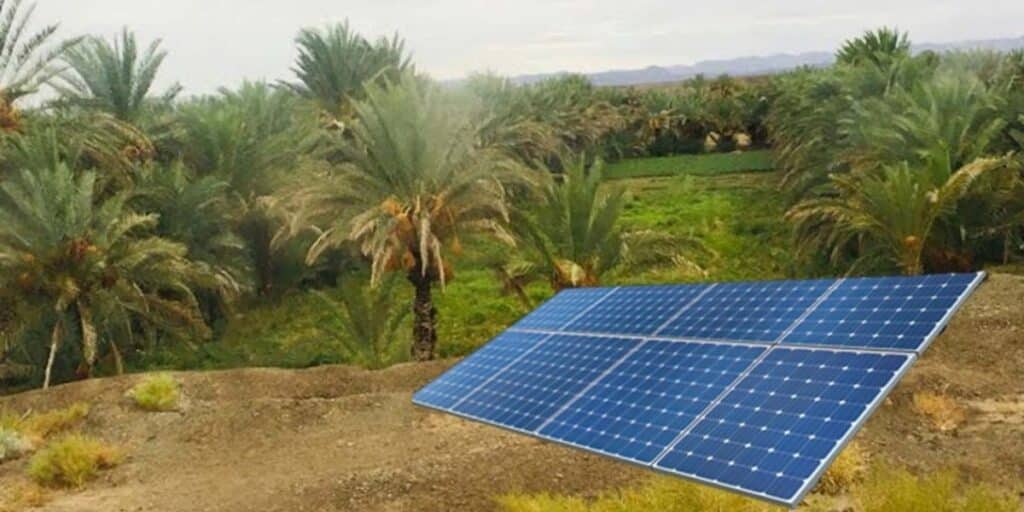 Surge in thefts leaves Panjgur farmers fearful and strained