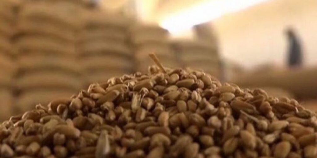 Balochistan news updates :Severe wheat shortage hits Balochistan