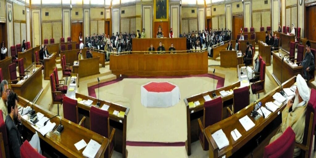 PAC reviews irregularities and budget lapses