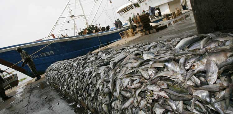 Balochistan to act against illegal trawling to protect coastal communities