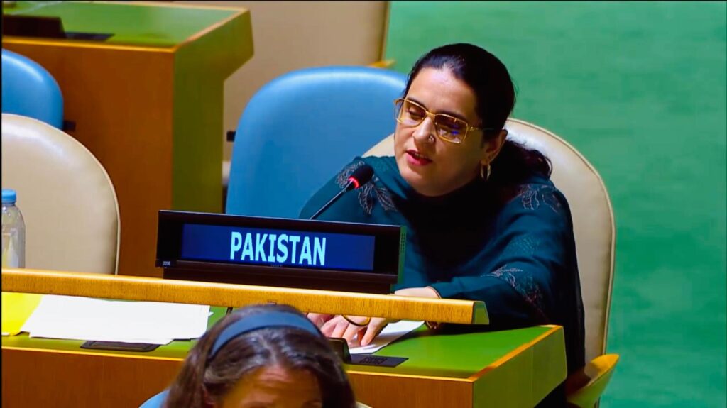 Pakistan rebuts India at UN, accuses New Delhi of terror sponsorship