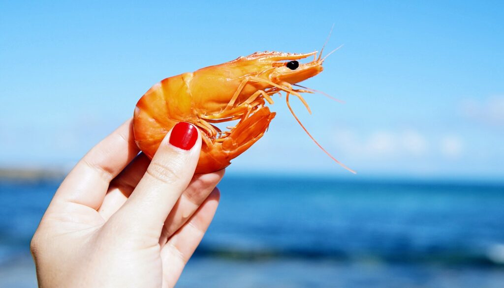 Karachi to review the progress of a major shrimp farming project planned for the coastal areas of Balochistan. The meeting was chaired by Bilal Khan Kakar, Vice Chairman of the Balochistan Board of Investment and Trade (BBoIT).