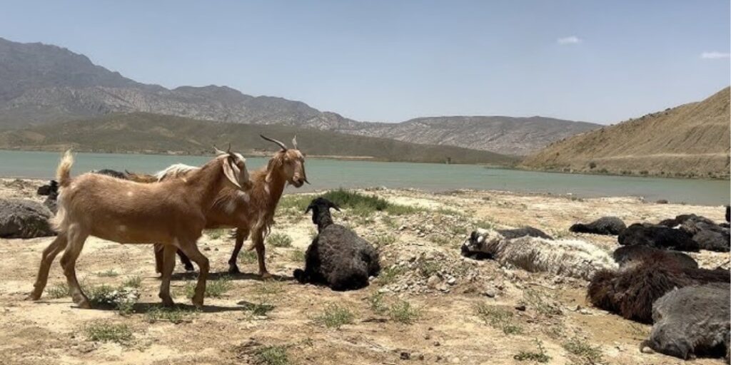 Dry and cold weather is expected in Balochistan