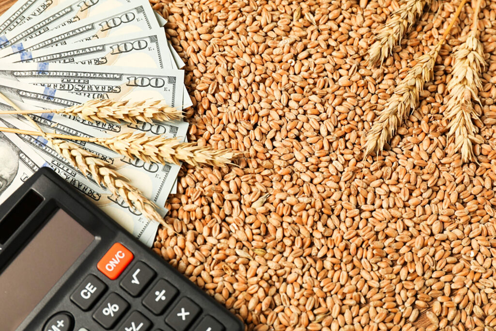 Govt finalizes Wheat Procurement Plan, draft interim policy ready for cabinet approval