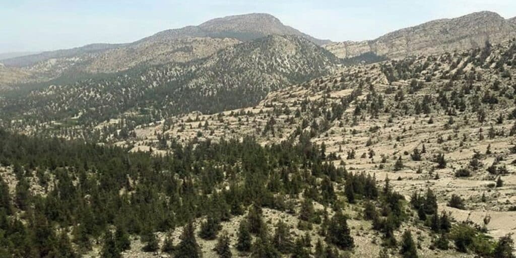 A large land handed over to the forest department