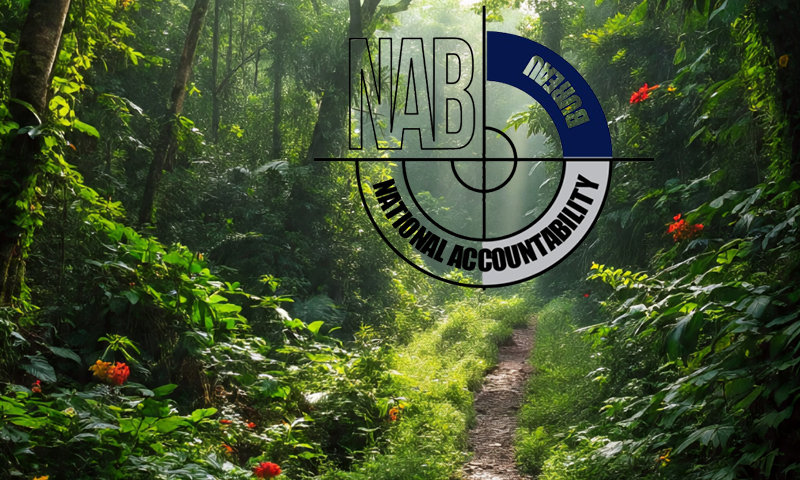 NAB recovers one million acres of forest land in Balochistan