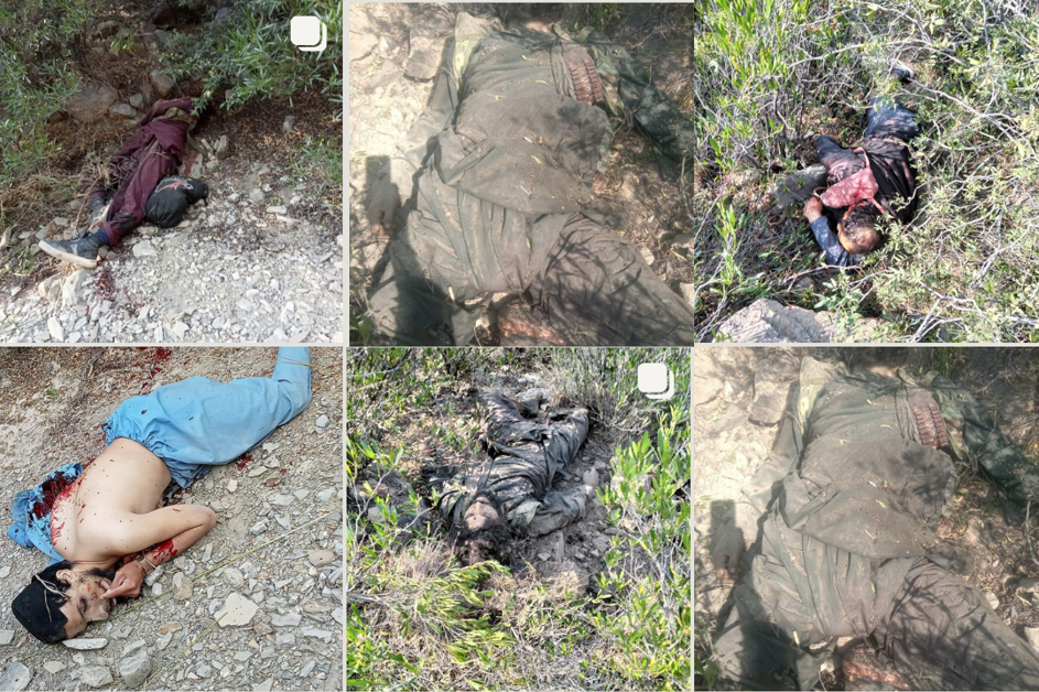 Khwarij infiltration attempt foiled at Pakistan border, 13 militants killed, 5 soldiers martyred