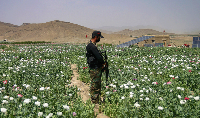 Levies Force cracks down on drug trafficking in Luni