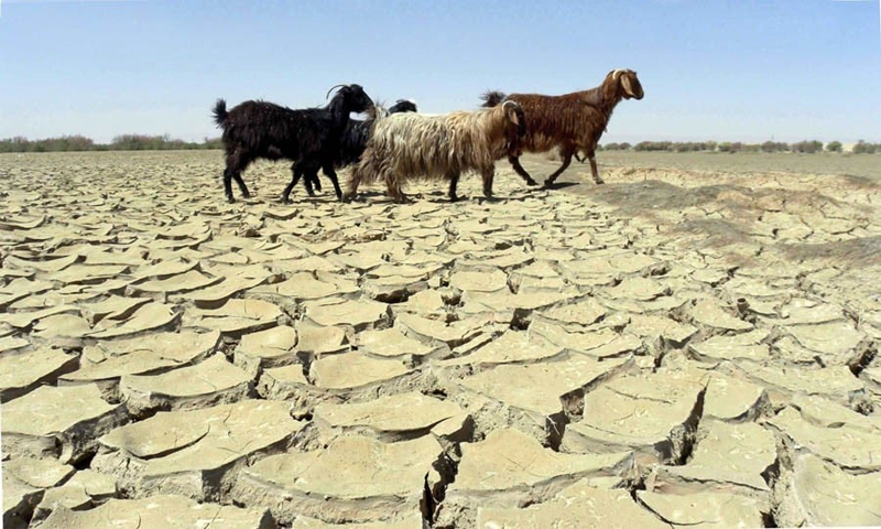 Rainfall crisis triggers drought warning in Balochistan