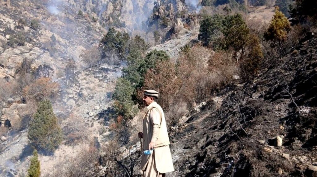 A wild fire breaks out in Sherani forests