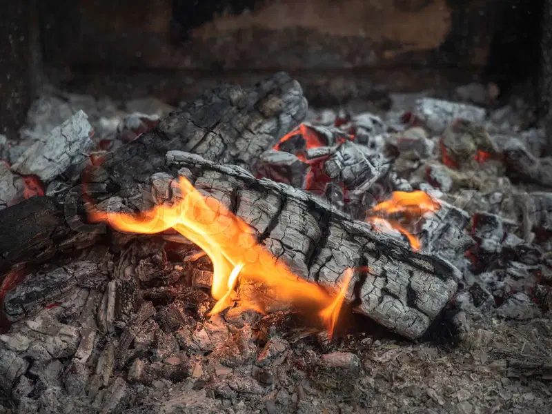 Four Jirga member arrested after Musa Khel incident