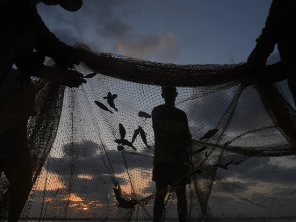 Balochistan Fisheries Department Foils Illegal Trawling Attempt