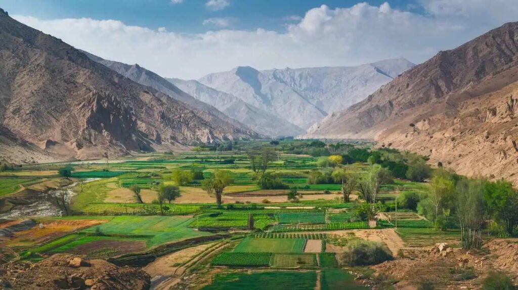 Balochistan signs agreement to digitize land records