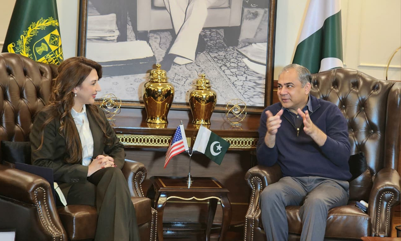 Interior Minister Mohsin Naqvi met US Chargé d’Affaires Natalie Baker to discuss joint measures on counter-narcotics, security cooperation and curbing illegal immigration.