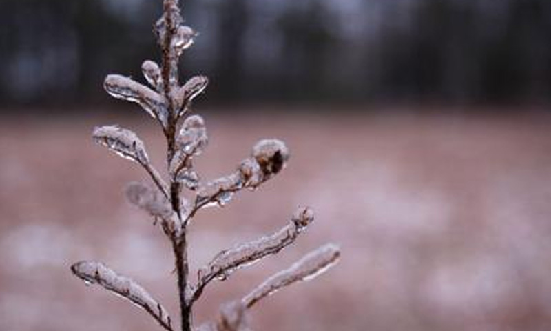 PMD Warns of Severe Cold, Dry Weather Across Pakistan