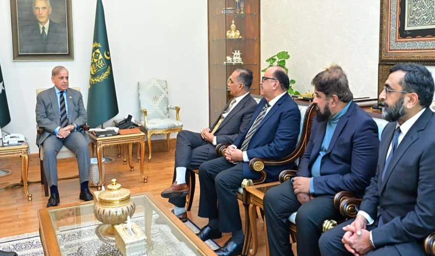 Pakistani Doctors in US Pledge Investment in Health Sector