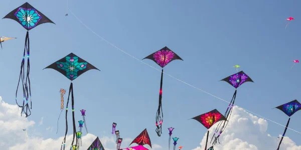 Lahore administration continues digital registration of kite makers and sellers